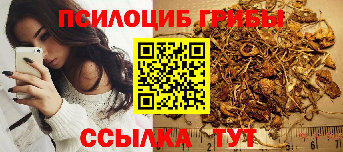 Галлюциногенные грибы MAGIC MUSHROOMS Вязьма